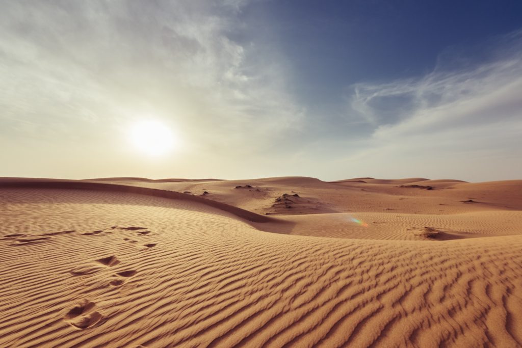 This is the image of Desert Safari in Abu Dhabi