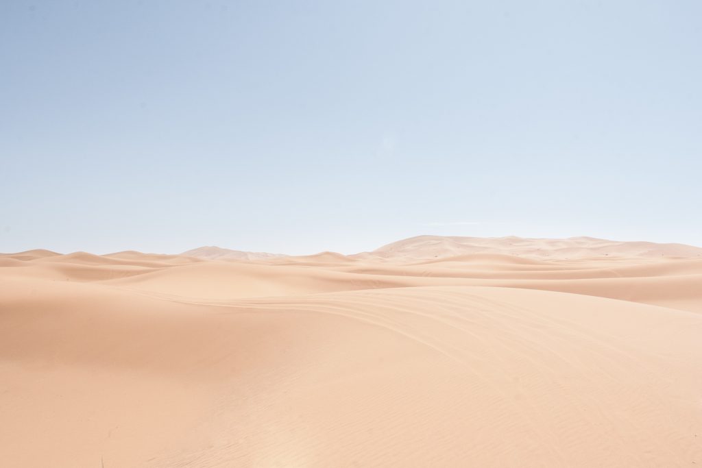 This is the image of Desert Safari in Dubai