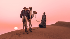 Desert Safari | Luxury Desert Safari Dubai | Luxury Safari