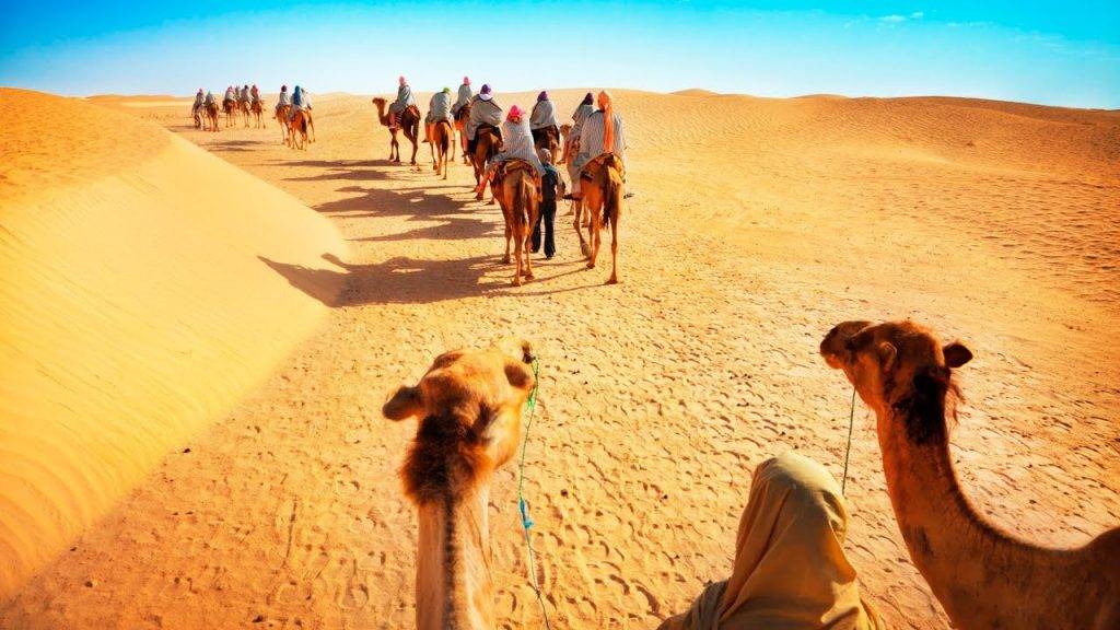Desert Safari | Luxury Desert Safari Dubai | Luxury Safari