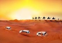 Desert Safari | Arabian Desert Safari Dubai Packages | Dubai Packages