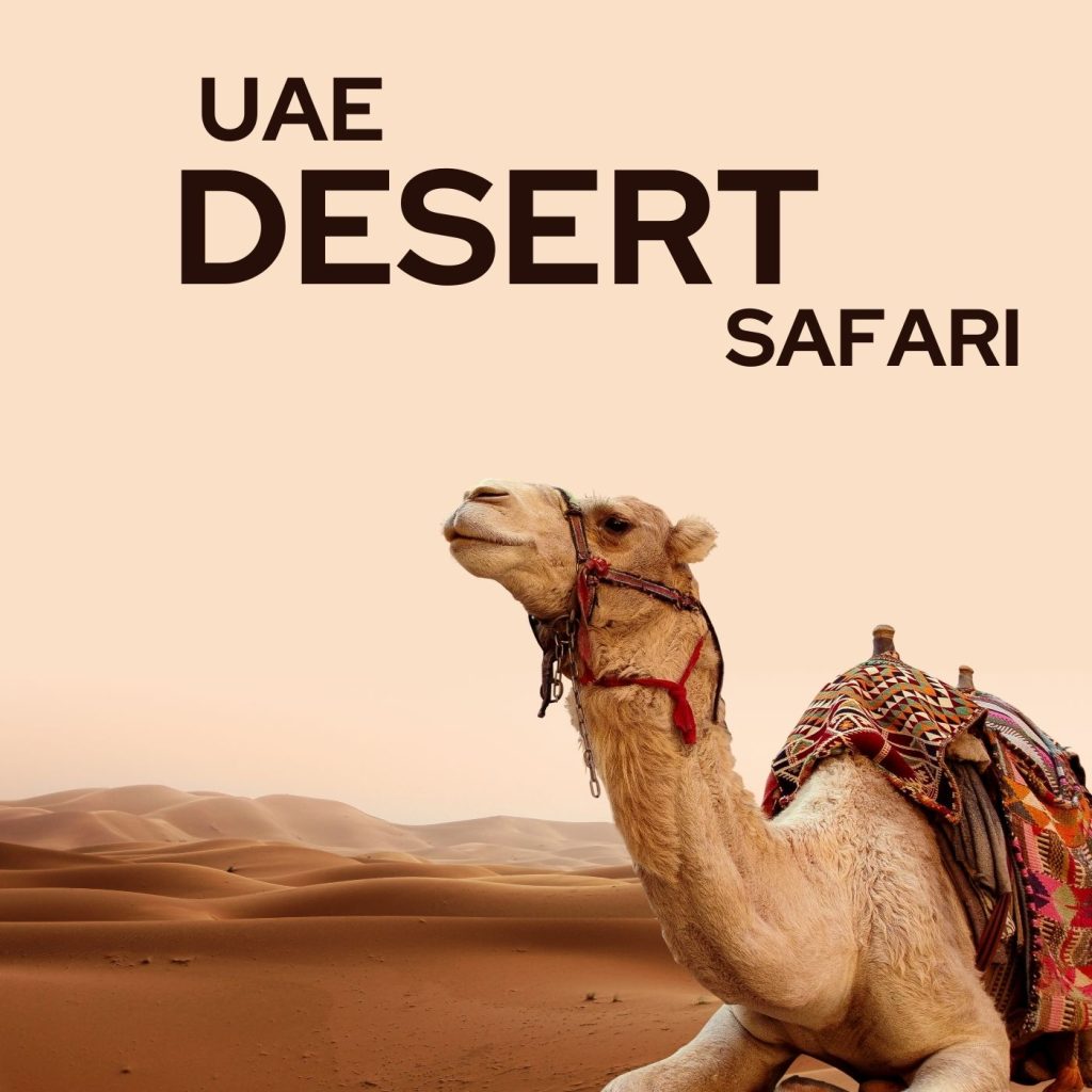 best-desert-safari-dubai