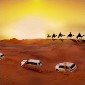 best-desert-safari-dubai