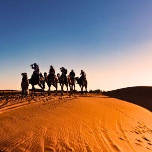 Best-Desert-Safari-Tour