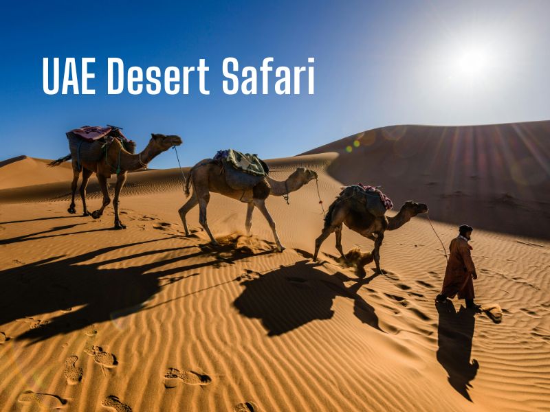 UAE-Desert-Safari