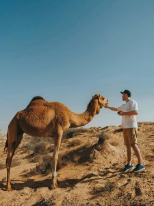 Dubai Safari