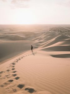 Dubai safari