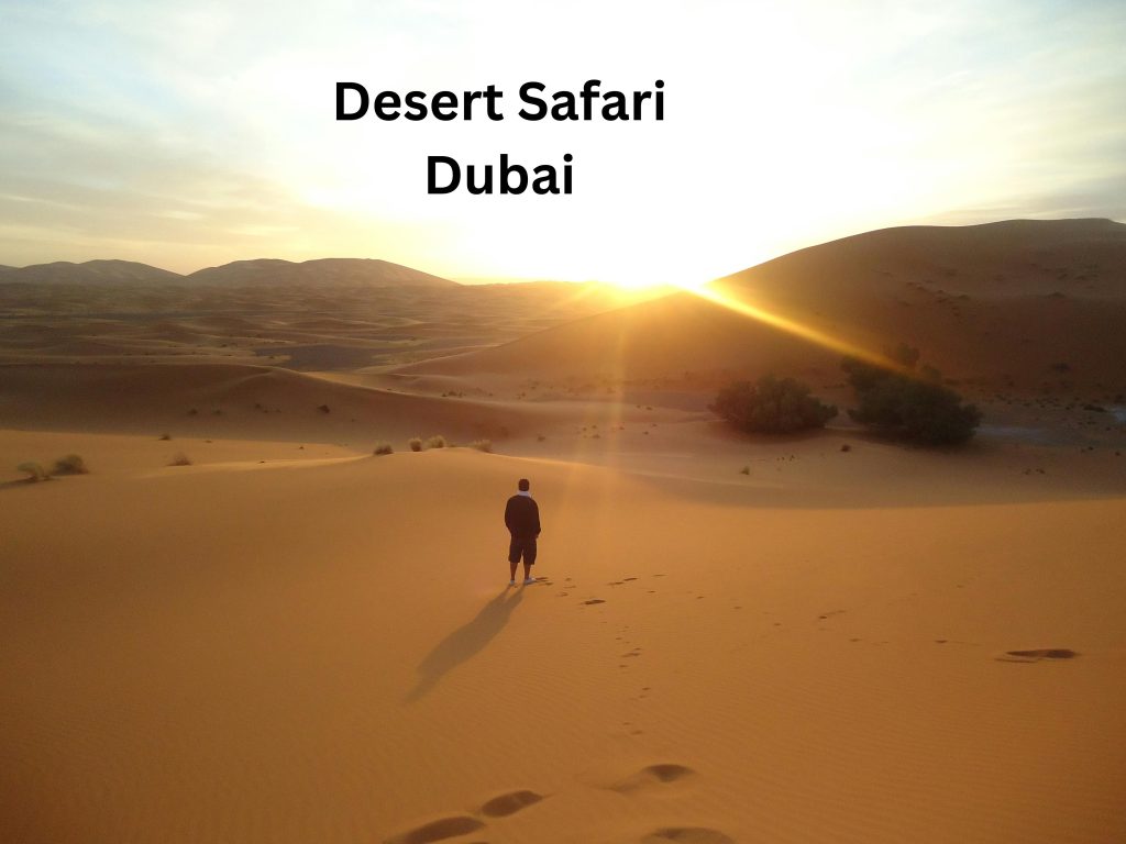 desert safari