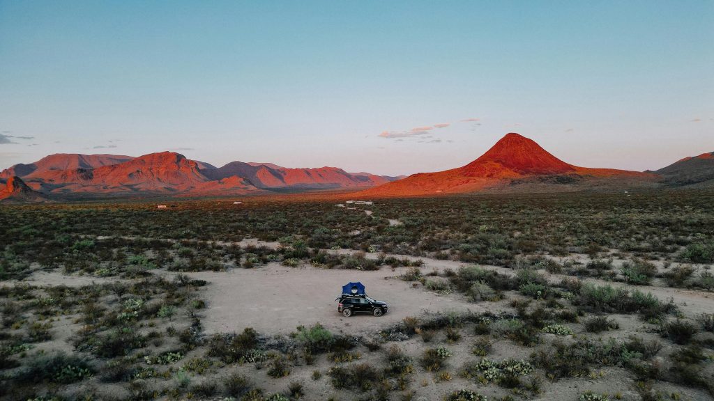 Evening safari