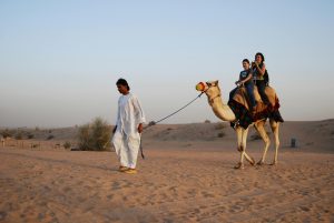 Morning Desert Safari