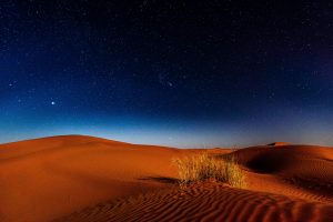 Overnight Desert Safari