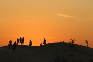 Evening Desert Safari