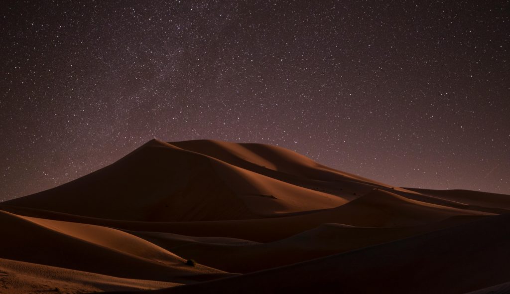 Evening desert safari